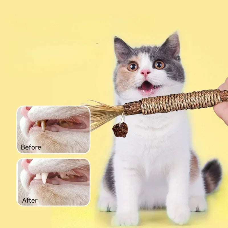 Cat Toys Cleaning Teeth