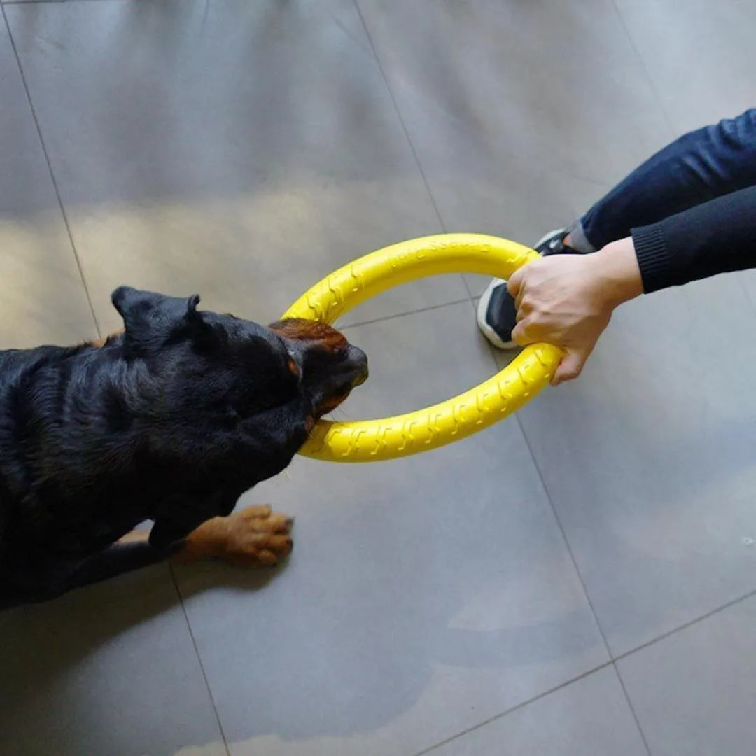 Dog Ring Toys