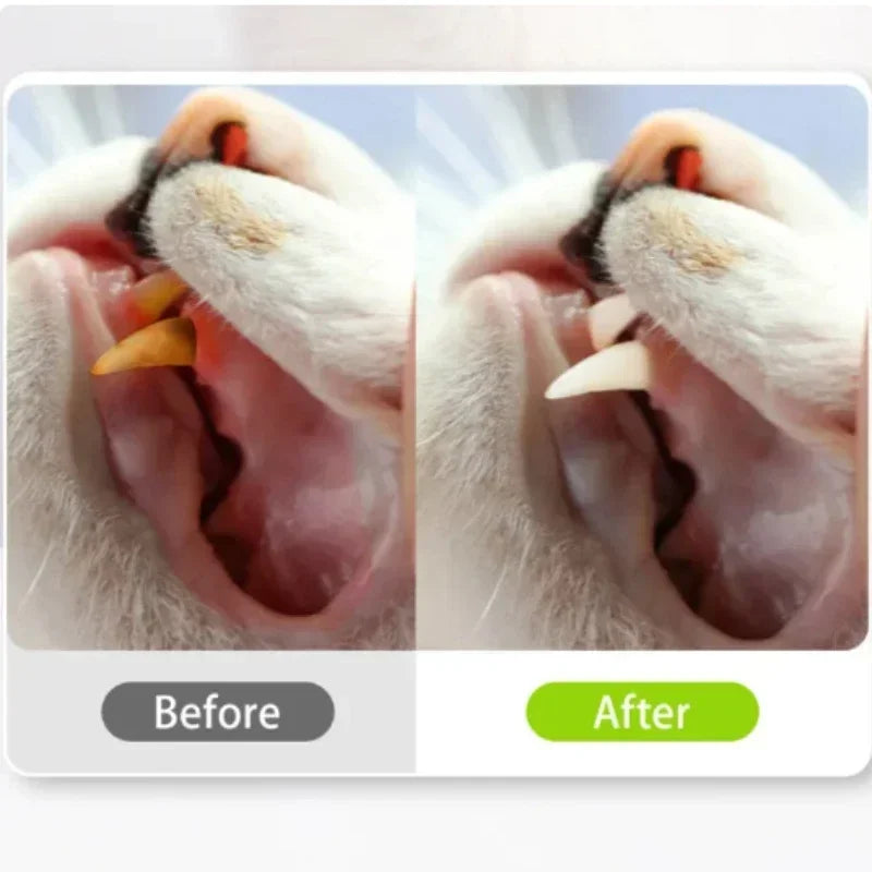 Cat Toys Cleaning Teeth