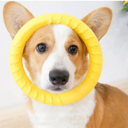 Dog Ring Toys